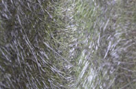 Andover Down fibreglass roof work